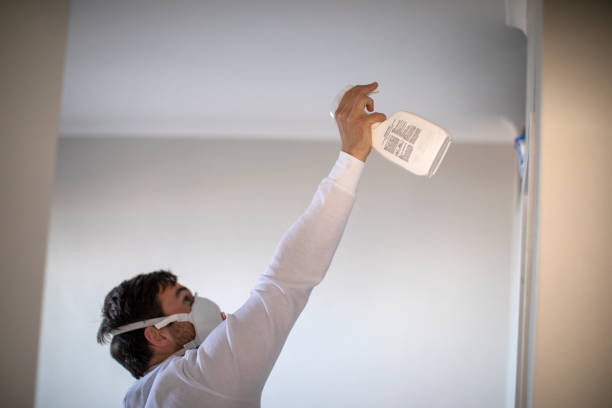 Best Mold Removal Company Near Me  in Nsfield Center, MA