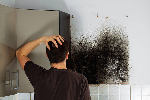 Water Damage Restoration in Mansfield Center, MA